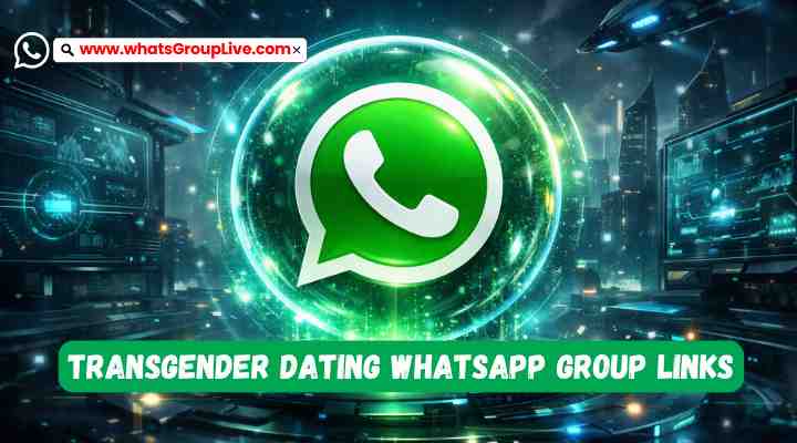 Transgender Dating Whatsapp Group Links